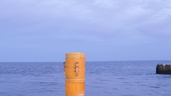 Irbes viedā boja
