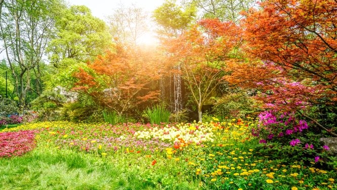 Krāsains parks