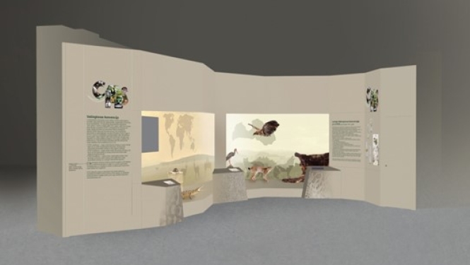 Nacionālā dabas muzeja jaunā ekspozīcija