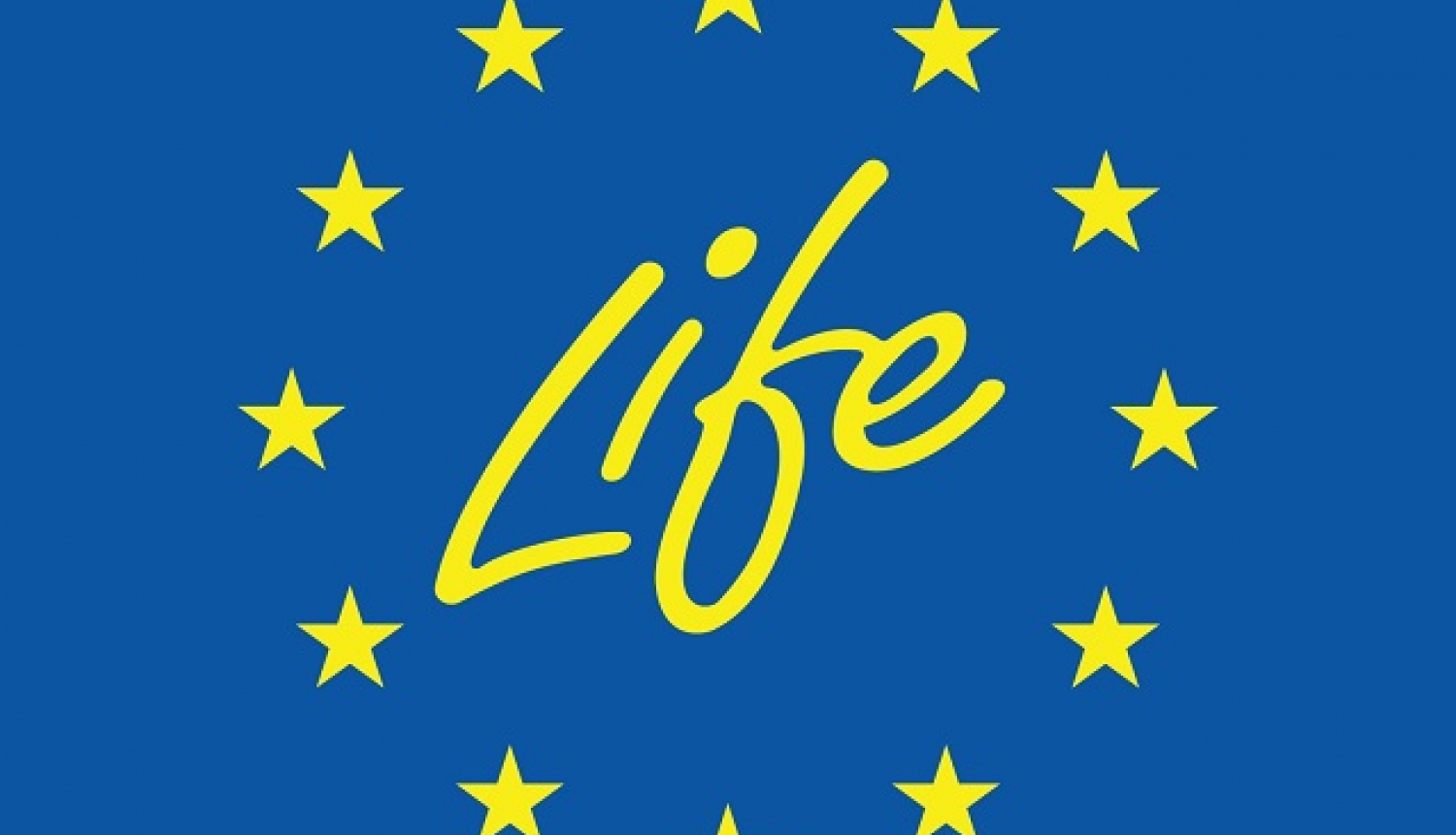 Life logo